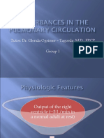 Disturbances in The Pulmonary Circulation