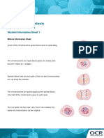 Mitosis and Meiosis Activity