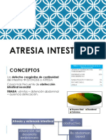 Atresia Intestinal