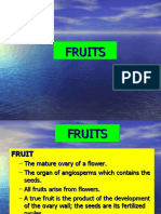 9) Fruits