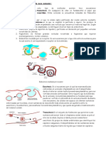 Transporte de Moleculas de Elevada Masa Molecular