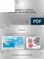 Placenta y Cordon Umbilical Alteraciones