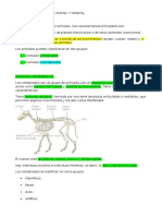 Apuntes Biologia Reino Animal y Vegetal