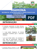 Seminário Fitotecnia Mamona