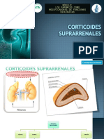 Corticoides Suprarrenales