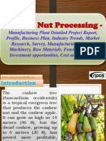 Cashew Nut Processing Manufacturing Plant PDF