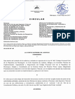 Circular Referida A Las Instrucciones Generales de Caracter Procedimental en Cumplimiento Del CPCN PDF