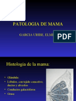 22 PATOLOGIA DE MAMAs