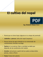 El Cultivo Del Nopal