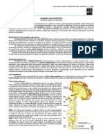 NEUROANATOMIA 21 - Grandes Vias Eferentes (2012) PDF