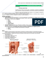 08 Sistema Digestório