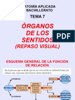 Anatomía Aplicada 1º Bachillerato: Organos de Los Sentidos