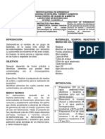 Informe Salmonella