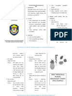 Leafleat - Tanaman Obat Keluarga (Toga) PDF