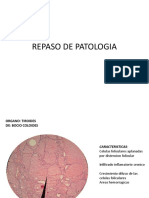 REPASO DE PATOLOGIA 3 Segmento 1