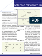 Aminotransferase For Commercial: Chiral Chemistry