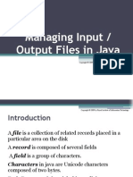 Input Output Files