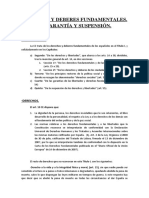 Derechos y Deberes Fundamentales PDF