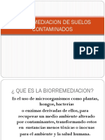 Diapositivas Biorremediacion de Suelos Contaminados1