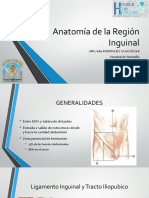 Anatomía de La Región Inguinal