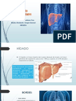 Anatomia Higadoo