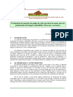 Evaluación de Mezclas de Pulpa de Café Con Olote de Maíz, para La Producción de Hongos Comestibles (Pleurotus Ostreatus) .