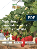 Revista AMCI 1