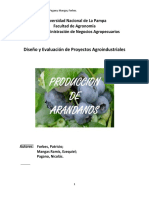 Produccion de Arandanos PDF