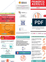 Triptico PA Heridas PDF