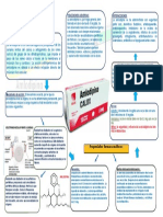 INFOGRAFIA Am Lodi Pina