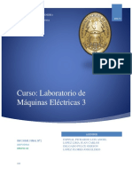 Amplidina PDF