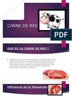 Diapositivas de Carnes Completo