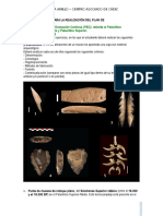 Trabajo de La Asignatura Prehistoria I UNED