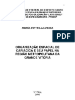 A Organização Espacial de Cariacica e Seu Papel Na RMGV