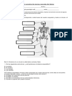 Evaluación Sumativa de Ciencias Naturales 4to Básico