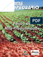 IA - 223 - Feijão de Alta Produtividade - 2004 PDF