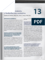 Capítulo 13 (Harper) - Cadena Respiratoria y Fosforilación Oxidativa