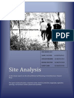 Site Analysis