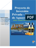 Proyecto de Inversion Privada - Licor de Aguaymanto