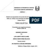 Estudio Socio-Agronomico de La Produccio