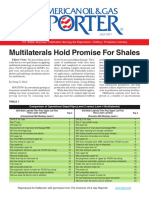 AOGR MLT Promise For Shales