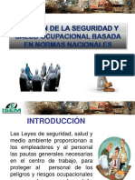 Gestion de Seguridad y Salud Ocupacional Isem PDF