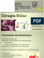 Consideraciones Quirurgicas de La Patología Biliar