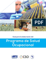 Guia Programa Salud Ocupacional