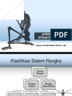 Struktur Dan Jaringan Tulang