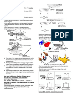 Electromagnetic Induction