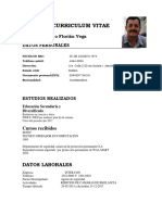 Curriculum Vitae 4