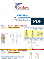 Anatomia Osteomuscular