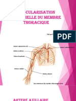 2-Vascularisation Artérielle DU MEMBRE THORACIQUE