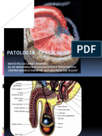 Patología Testicular III